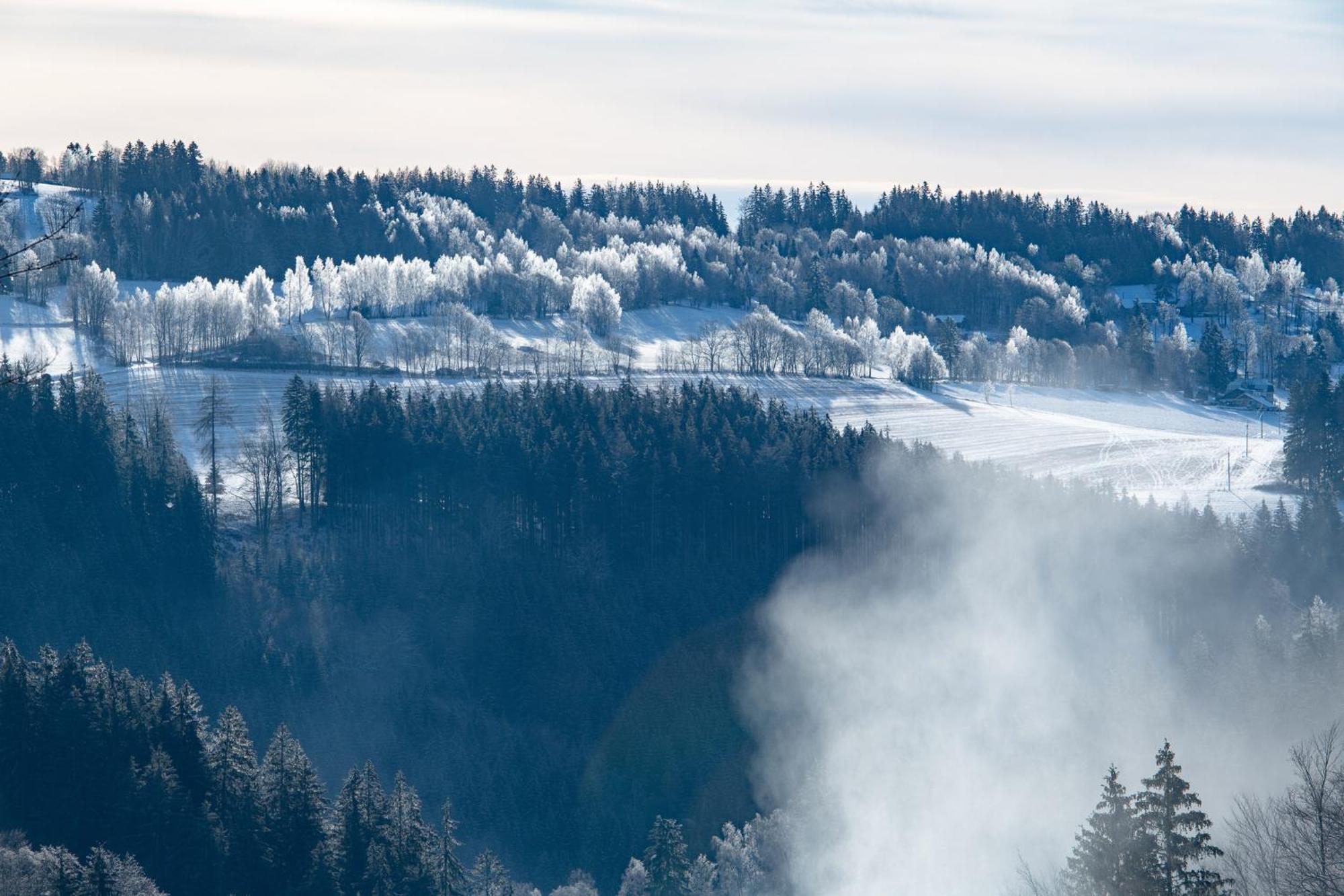 Aldrov Resort Vítkovice Zewnętrze zdjęcie